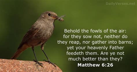 Verily I say unto you, They have their reward. . Matthew 6 kjv